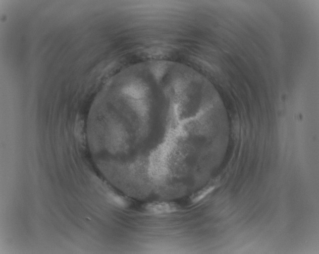 X0000076450181200610202344