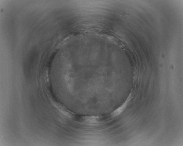 X0000076450182200610202344