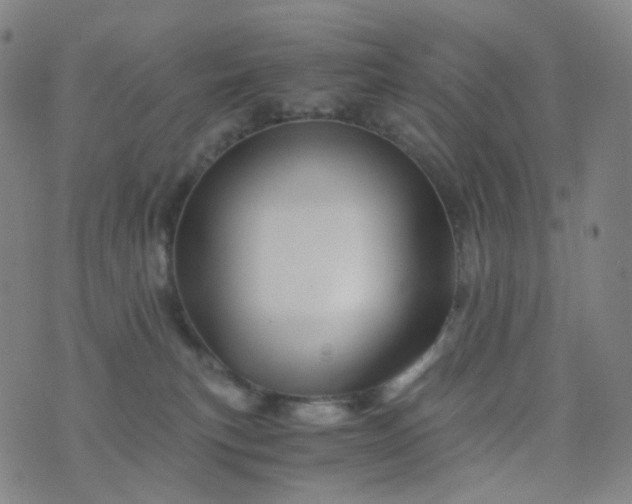 X0000076450183200610202344