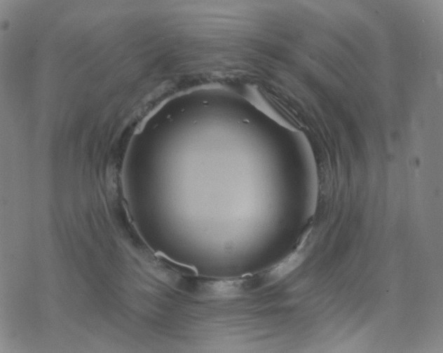 X0000076450184200610202344