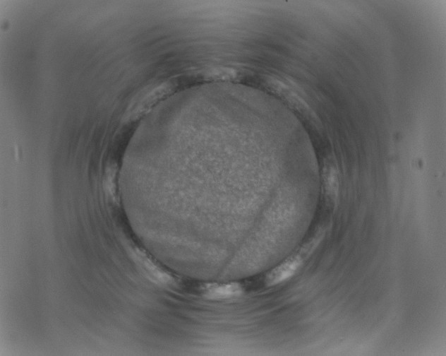 X0000076450185200610202344