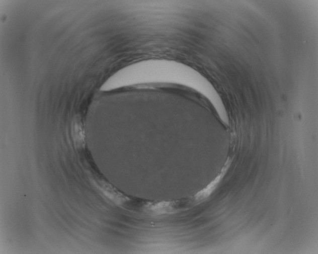 X0000076450186200610202344