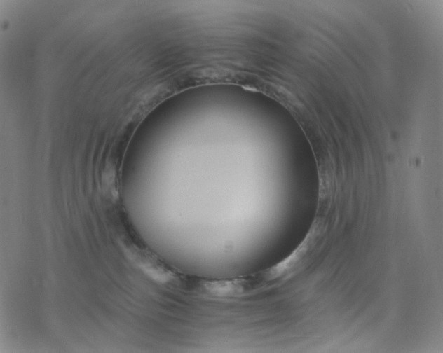 X0000076450187200610202344