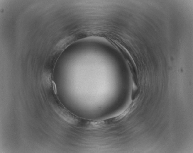 X0000076450188200610202344