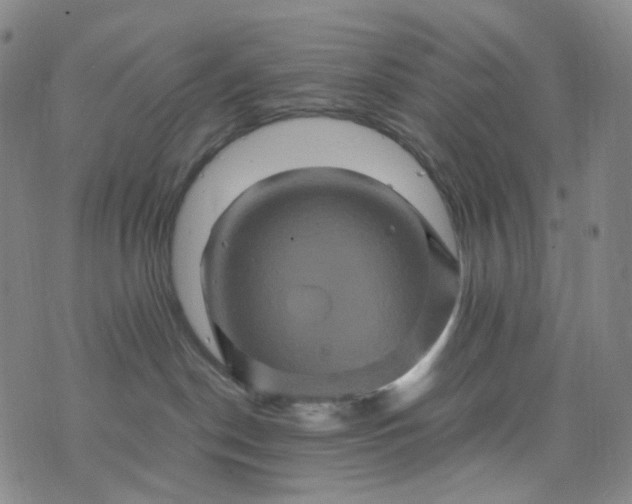 X0000076450190200610202344