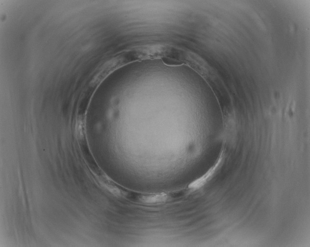 X0000076450191200610202344