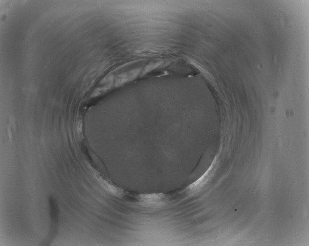 X0000076450192200610202344