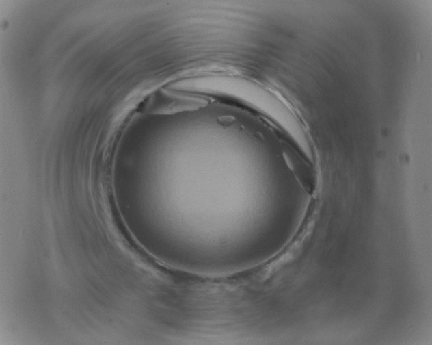 X0000076450193200610202343