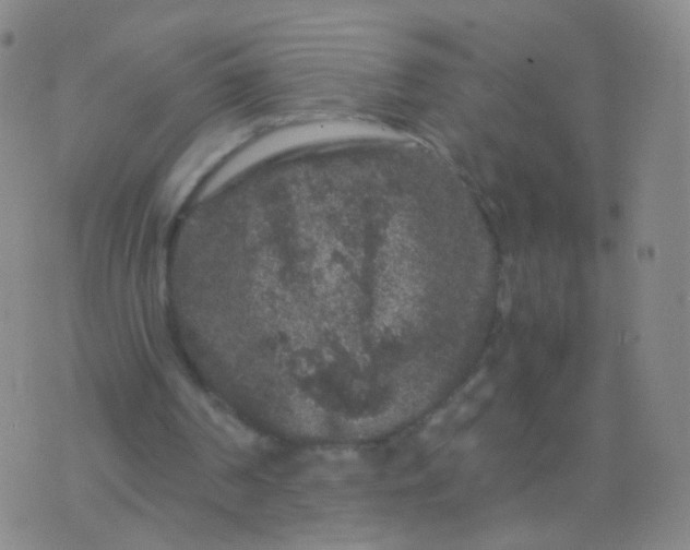 X0000076450194200610202343