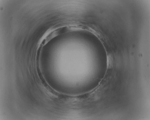 X0000076450195200610202343