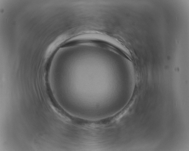 X0000076450197200610202343