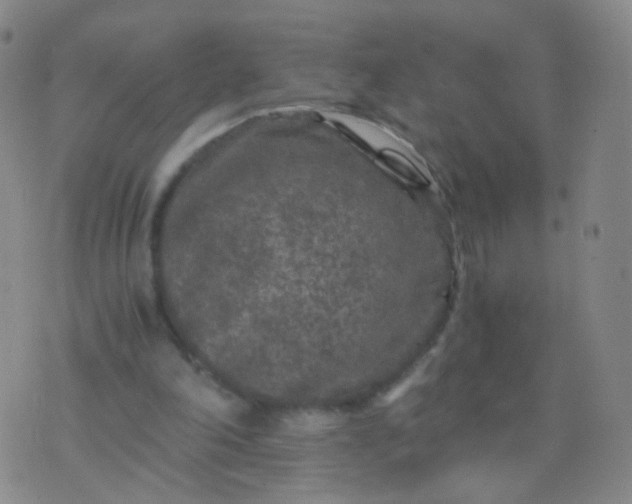 X0000076450198200610202343