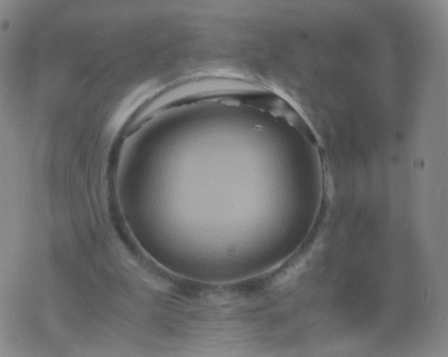 X0000076450199200610202343