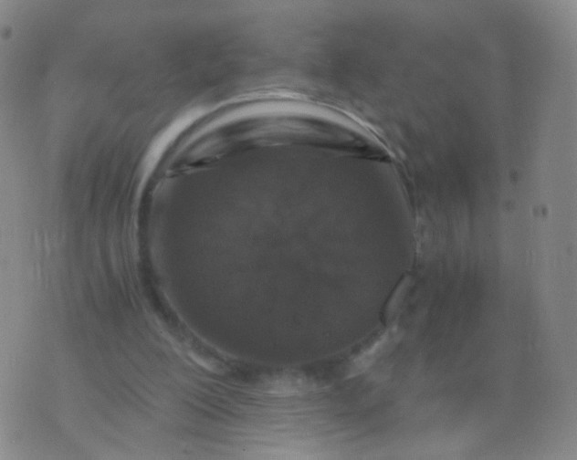 X0000076450200200610202343