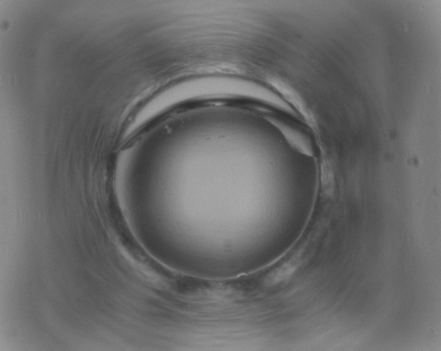 X0000076450201200610202343