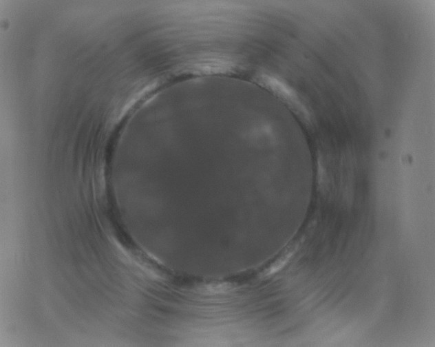 X0000076450202200610202343