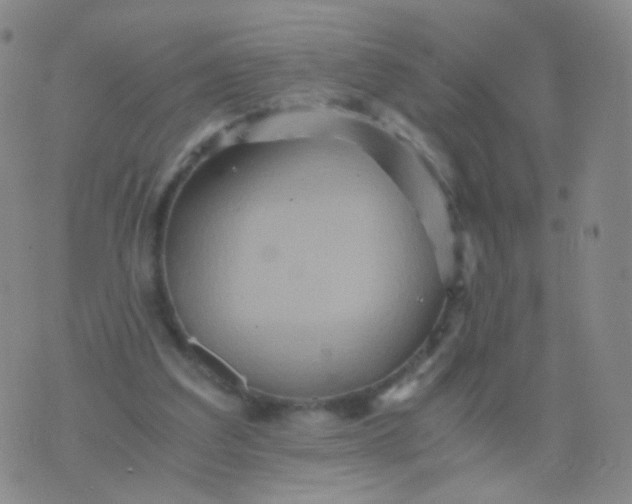 X0000076450203200610202343