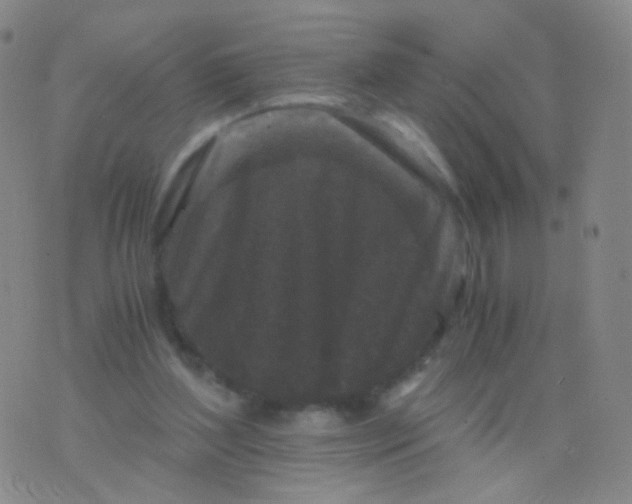 X0000076450204200610202343