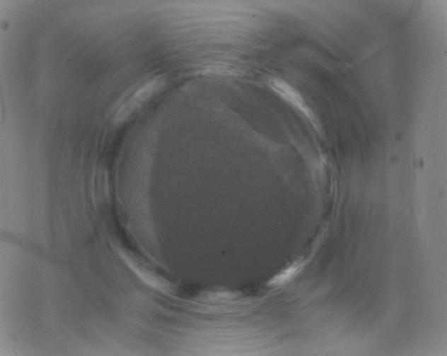 X0000076450205200610202343