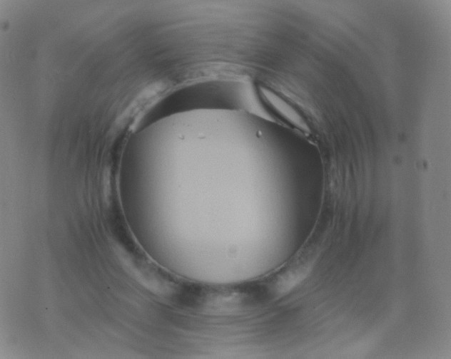 X0000076450206200610202343