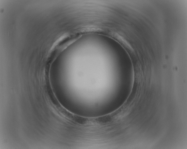 X0000076450207200610202343