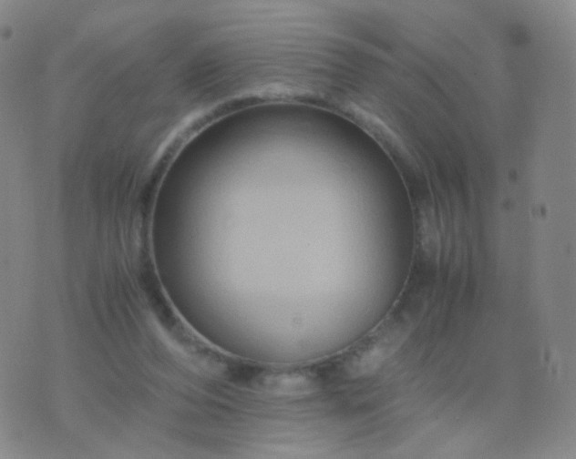 X0000076450208200610202343