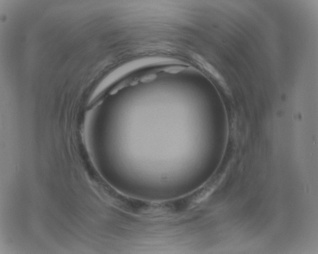 X0000076450209200610202343