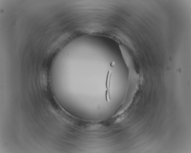 X0000076450210200610202343