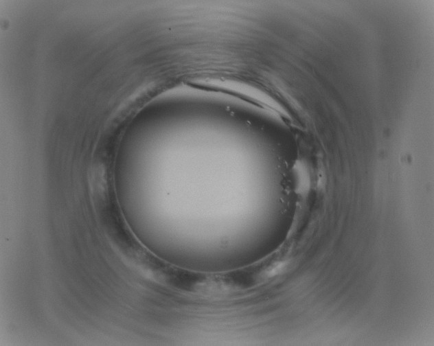 X0000076450211200610202343