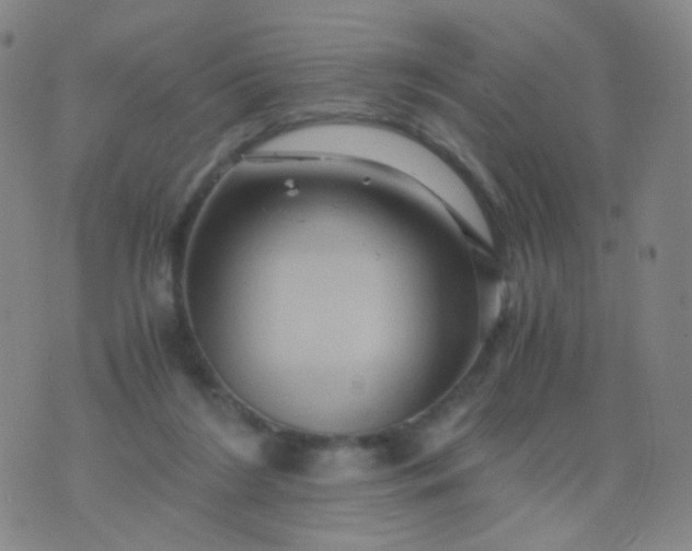 X0000076450212200610202343