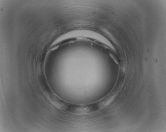 X0000076450213200610202343