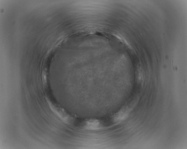 X0000076450214200610202343