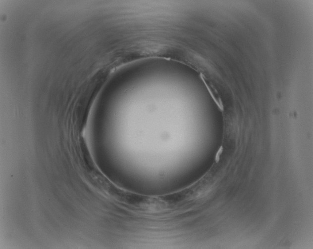 X0000076450215200610202343