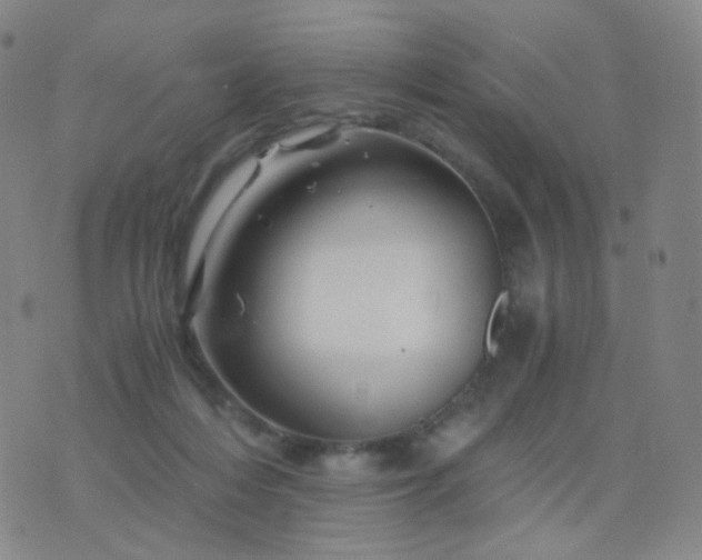 X0000076450216200610202343