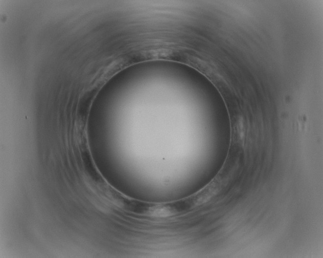 X0000076450218200610202343