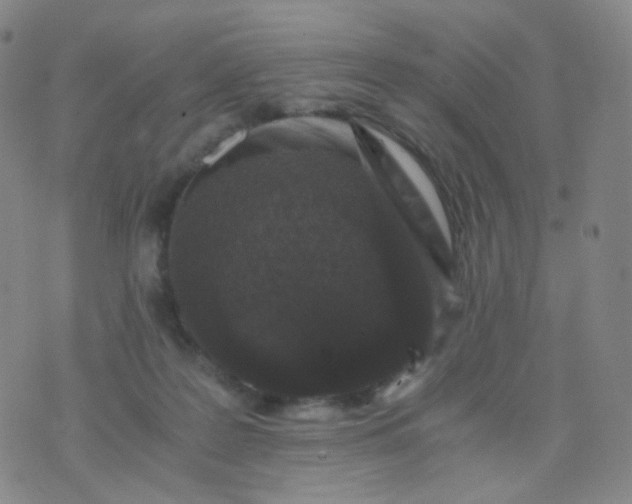 X0000076450219200610202343