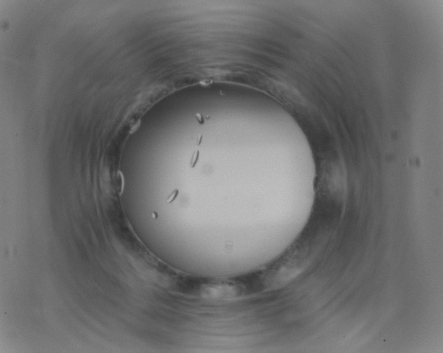 X0000076450220200610202343