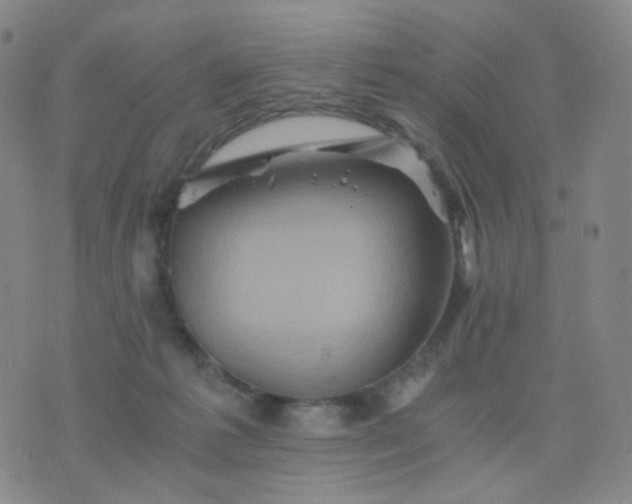 X0000076450221200610202343