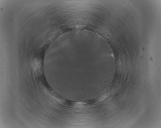 X0000076450222200610202343