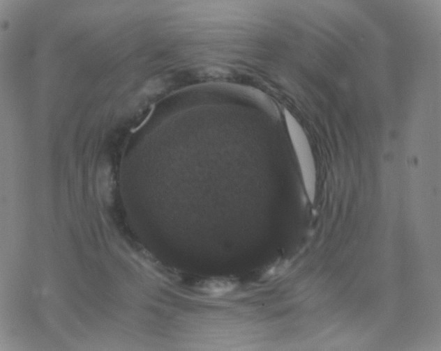 X0000076450223200610202343