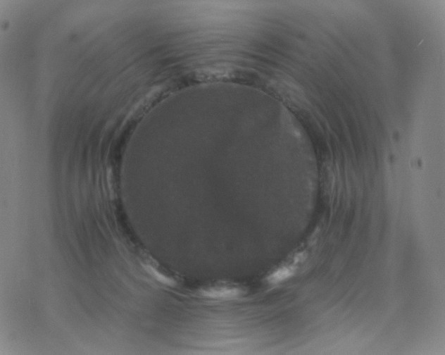 X0000076450224200610202343