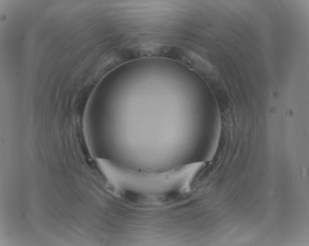 X0000076450225200610202343