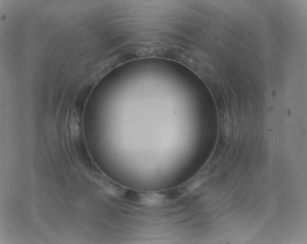 X0000076450226200610202343