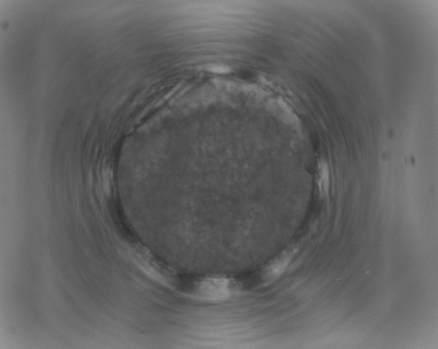 X0000076450227200610202343