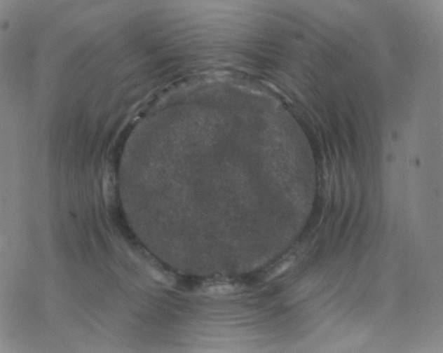 X0000076450228200610202343