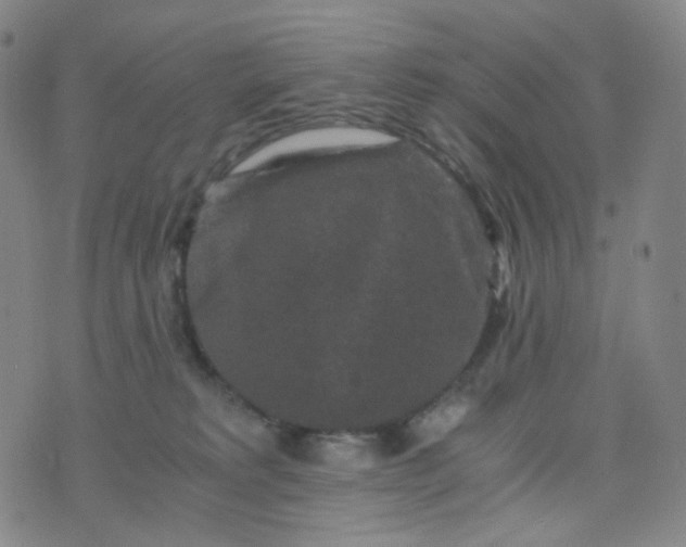 X0000076450229200610202343