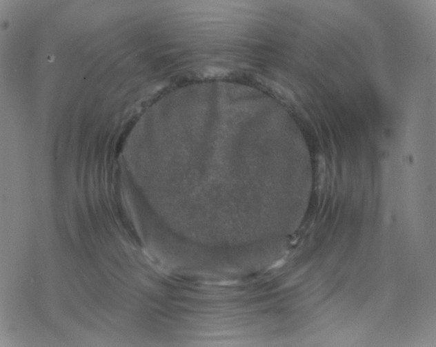 X0000076450230200610202343