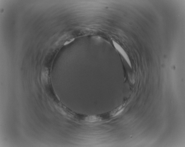 X0000076450231200610202343