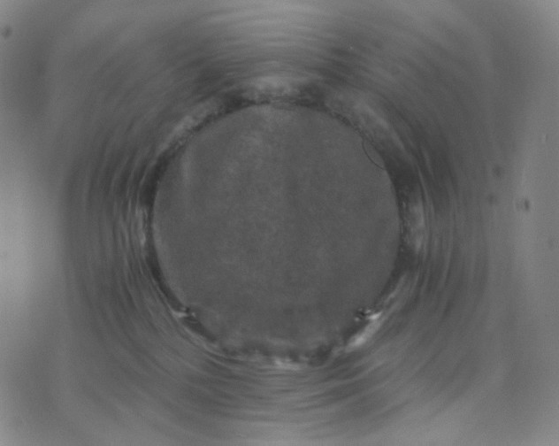 X0000076450232200610202342