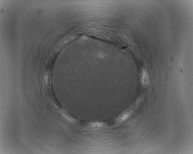 X0000076450233200610202342